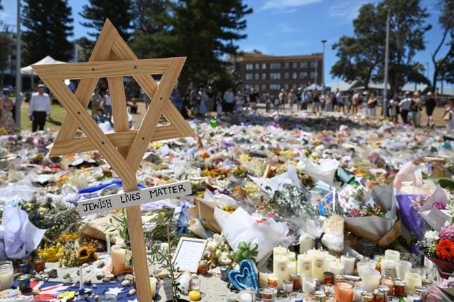 Was Bondi Beach Shooting Antisemitism, a Lack of Gun Control, or Just Ignoring Reality