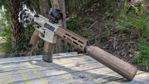 Virginia Assault Firearms Ban Blocked Statewide Until Dec. 31