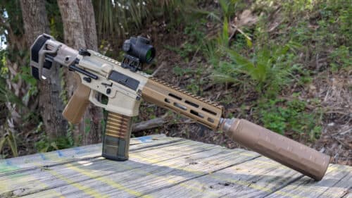 DOJ Sues Virginia Over AR-15 Ban Targeting Commonly Owned Rifles